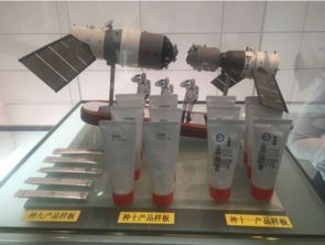 從遠渡重洋到回鄉筑巢 僑資回流助力發展的新篇章