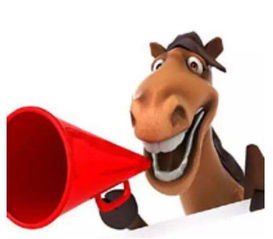 晴美互動(dòng)榮獲綿陽(yáng)網(wǎng)站建設(shè)前十強(qiáng)，深耕互聯(lián)網(wǎng)接入服務(wù)領(lǐng)域